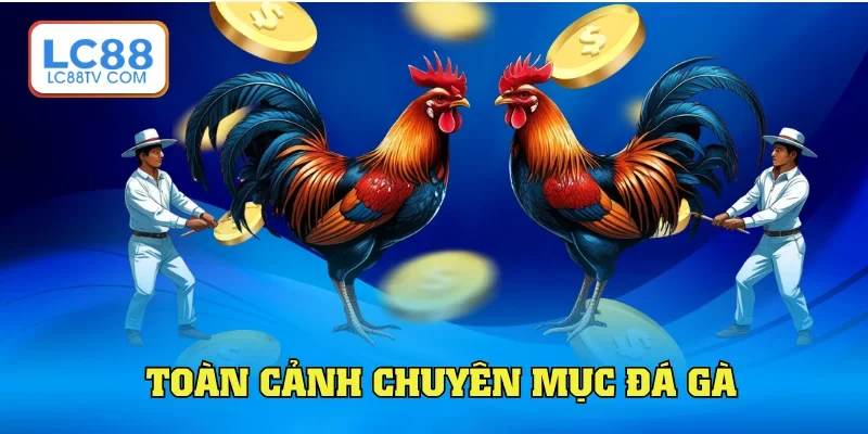 Toàn cảnh sảnh đá gà LC88 hấp dẫn